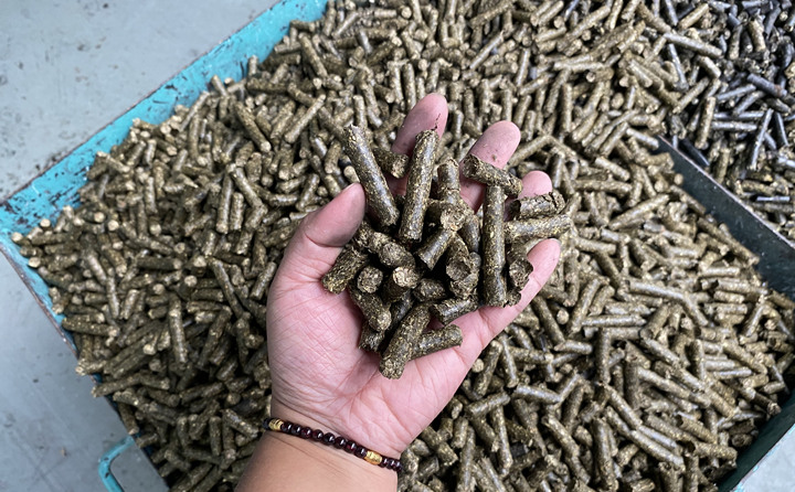 貴州省習水縣桃林鎮：燃料化利用，讓秸稈變廢為寶