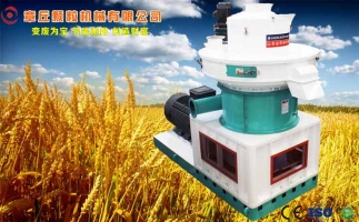 中國創新提速，綠色經濟之離心高效環模顆粒機
