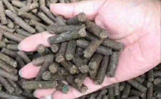水果渣越來越受歡迎，因為它的出現—生物質顆粒機設備
