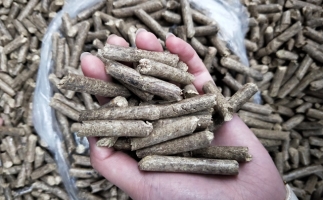 鋸末顆粒機木屑顆粒燃料市場前景如何？