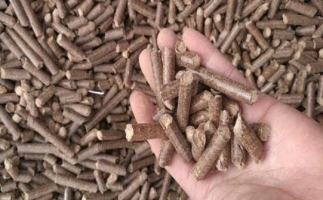 鋸末顆粒機生物質燃料與燃煤對比情況如何？