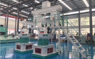木屑顆粒機多少錢一臺?建顆粒廠大約多少錢？