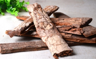 木材加工廠的廢棄物刨花能夠用來做什么？鋸末顆粒機告訴你
