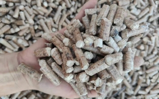 木材加工廠木屑堆積如山，環保部門令趕緊處理怎么辦？有它就夠了