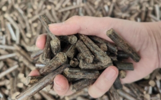 煤炭熱值那么高，為什么還要燒鋸末顆粒機的生物質顆粒燃料？