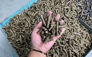 貴州省習水縣桃林鎮：燃料化利用，讓秸稈變廢為寶